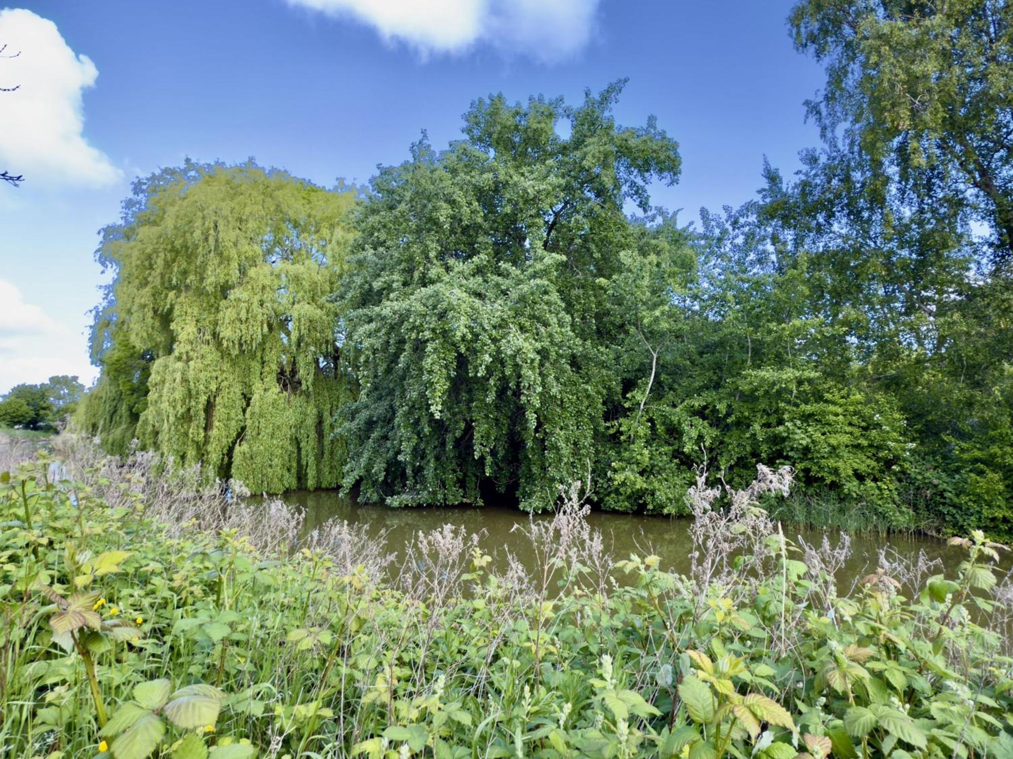 Fewo Moin - Horumersiel Exterior foto